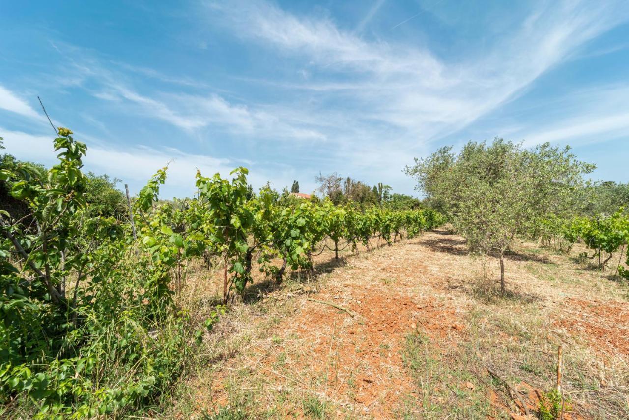 Villa Be Alghero Bagian luar foto
